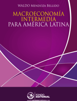 macroeconomia intermedia para america latina waldo mendoza bellido