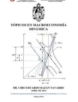 Tópicos de Macroeconomía Dinámica – Ciro Bazán Navarro – 1ra Edición