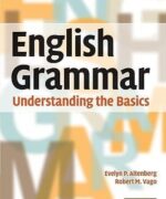 english grammar understanding the basics cambridge university 1st edtion