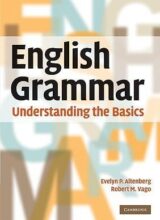 english grammar understanding the basics cambridge university 1st edtion