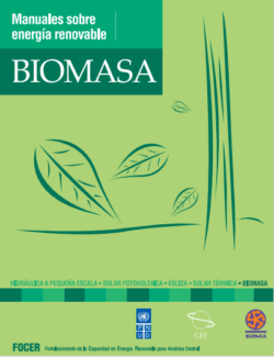 Manuales de Energía Renovable: Biomásica – FOCER – 1ra Edición