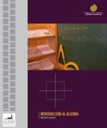 algebra version preliminar renato a lewin 1ra edicion
