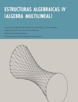 Estructuras Algebraicas IV: Álgebra Multilineal – Artibano Micali, Orlando Vilamayor – 1ra Edición