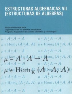 estructuras algebraicas vii estructuras de algebras artibano micali 1ra edicion