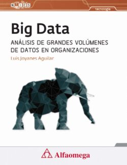 big data luis joyanes scaled