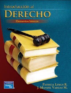 Introducción al Derecho: Elementos Básicos – Patricia L. Raya, José M. V. Menchaca – 1ra Edición