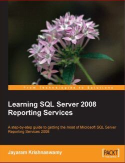 learning sql server 2008 reporting services jayaram krishnaswamy 1st edition 1