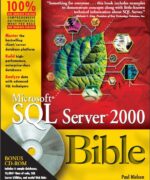 microsoft sql server 2000 bible paul nielsen 1st edition