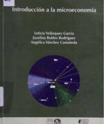 introduccion a la microeconomia leticia velasquez josefina robles angelica sanchez 1ra edicion