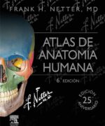 atlas de anatomia humana frank h netter 6ta edicion