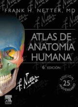 atlas de anatomia humana frank h netter 6ta edicion