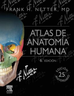 Atlas de Anatomía Humana – Frank H. Netter – 6ta Edición