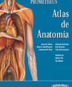 prometheus atlas de anatomia michael schunke anne m gilroy erik schulte udo schumacher 1ra edicion