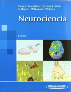 Neurociencia – Dale Purves – 3ra Edición