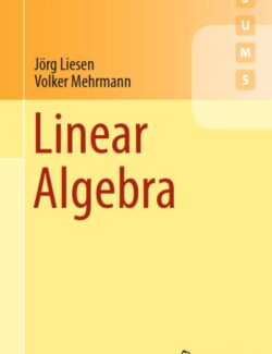 Linear Algebra – Jörg Liesen, Volker Mehrmann – 1st Edition