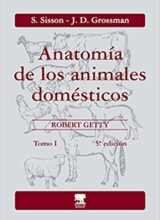 Anatomía de los Animales Domésticos: Tomo I (Sisson y Grossman) - Robert Getty - 5ta Edición