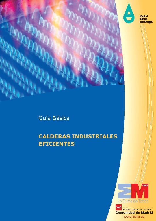 Guía Básica de Calderas Industriales Eficientes - Varios Autores - 1ra Edición