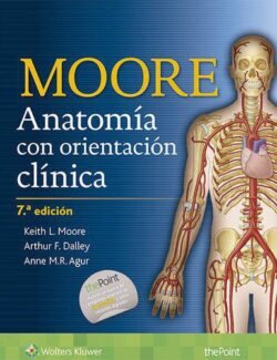 Anatomía con Orientación Clínica – Keith L. Moore, Arthur F. Dailey, Anne M. R. Agur – 7ma Edición