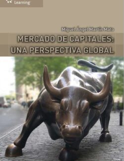 mercado de capitales una perspectiva global miguel angel martin mato 1ra edicion