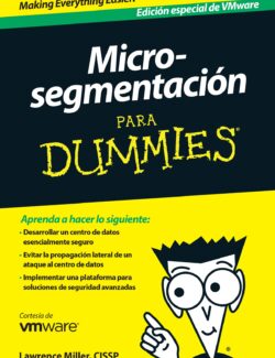 Micro Segmentación para Dummies