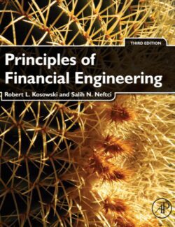 Principles of Financial Engineering