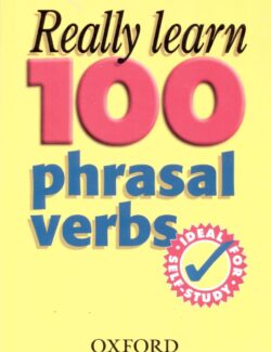 Really Learn 100 Phrasal Verbs