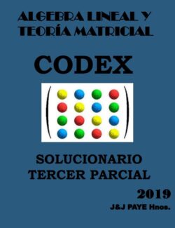 Álgebra Lineal y Teoría Matricial: Solucionario Tercer Parcial – Josue Paye Chipana, Jose Paye Chipana – 1ra Edición