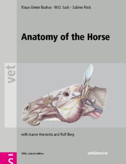 Anatomy of the Horse