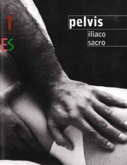 Tratado de Osteopatia Integral Pelvis