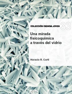 Una Mirada Fisicoquímica a través del Vidrio