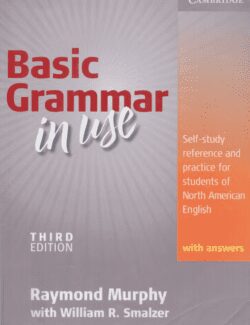 basic grammar in use raymond murphy 3rd edition