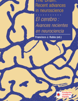 El Cerebro: Avances Recientes en Neurociencia