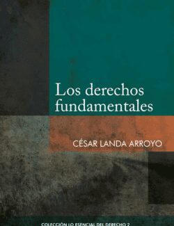 los derechos fundamentales cesar landa arroyo 1ra edicion