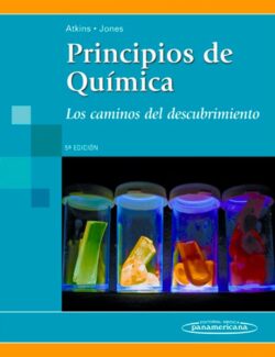 Principios de Química: Los Caminos del Descubrimiento