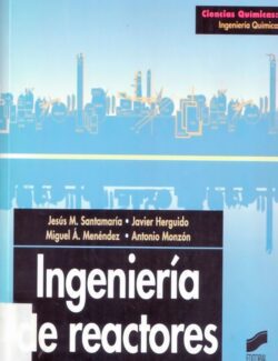 Ingeniería de Reactores – Jesús Santamaría, Javier Herguido, Miguel A. Menéndez, Antonio Monzón – 1ra Edición