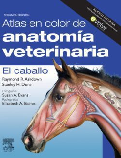 atlas en color de anatomia veterinaria el caballo raymond r ashdown 2da edicion