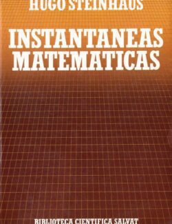 Instantáneas Matemáticas