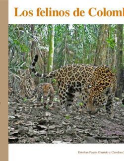 Los Felinos de Colombia
