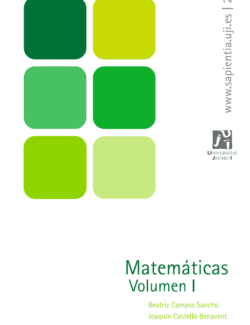 Matemáticas Vol. 1