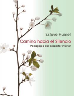 Camino Hacia el Silencio: Pedagogía del Despertar Interior