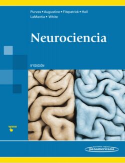 Neurociencia