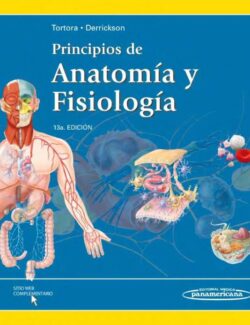 Principios de Anatomía y Fisiología