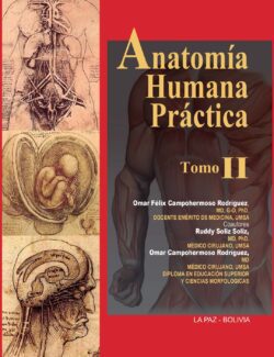Anatomía Humana Práctica Tomo II
