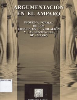 Argumentación en el Amparo: Esquema Formal de los Conceptos de Violación y las Sentencias de Amparo