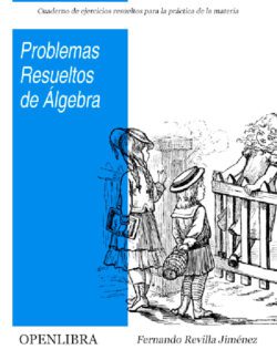 Problemas Resueltos de Algebra