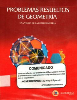 Problemas Resueltos de Geometría: Una Visión de la Estereometría