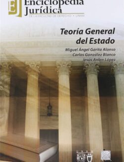 Teoría General del Estado