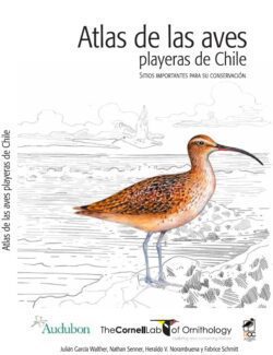 Atlas de las Aves Playeras de Chile
