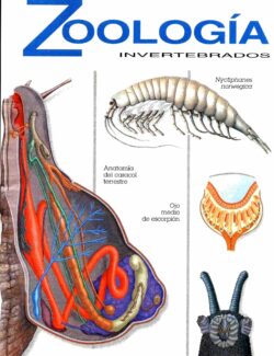 Atlas Temáticos: Zoología Invertebrados