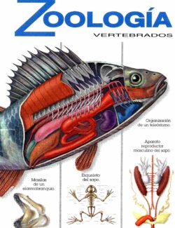 Atlas Temáticos: Zoología Vertebrados